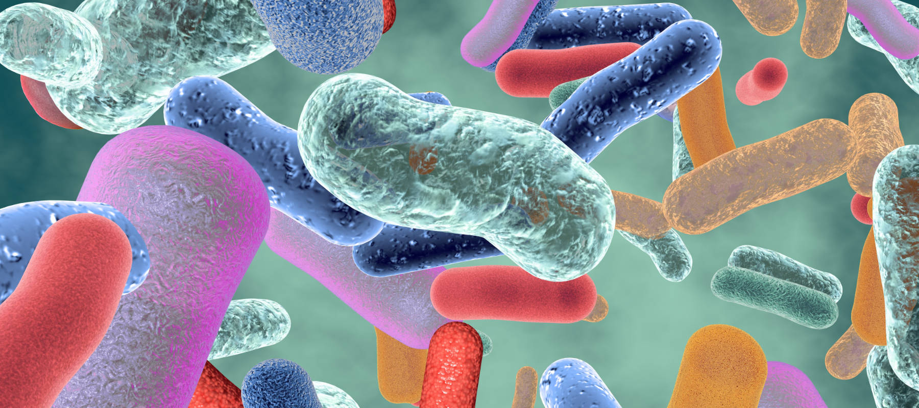 Il Microbiota: l’insieme dei microrganismi presenti nel nostro corpo